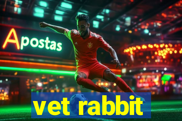 vet rabbit